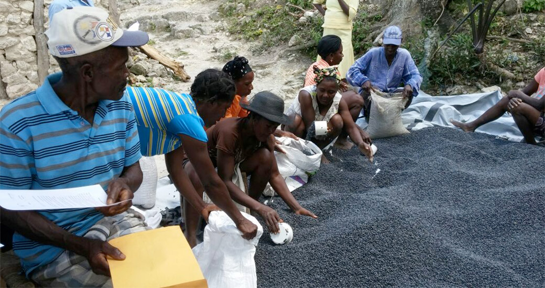 Mouvement Paysan Papaye